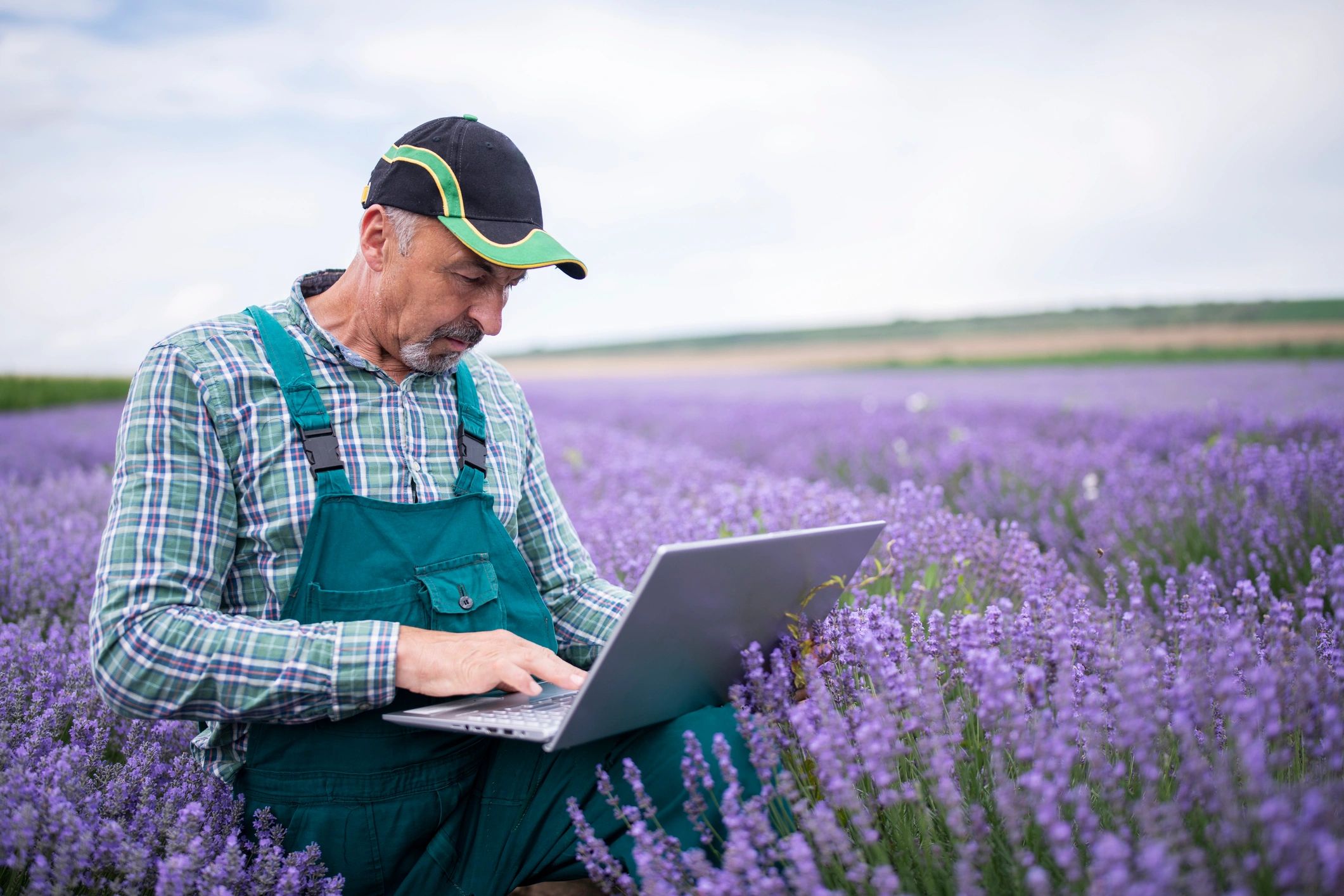 Producer using a laptop in a field to review crop conditions