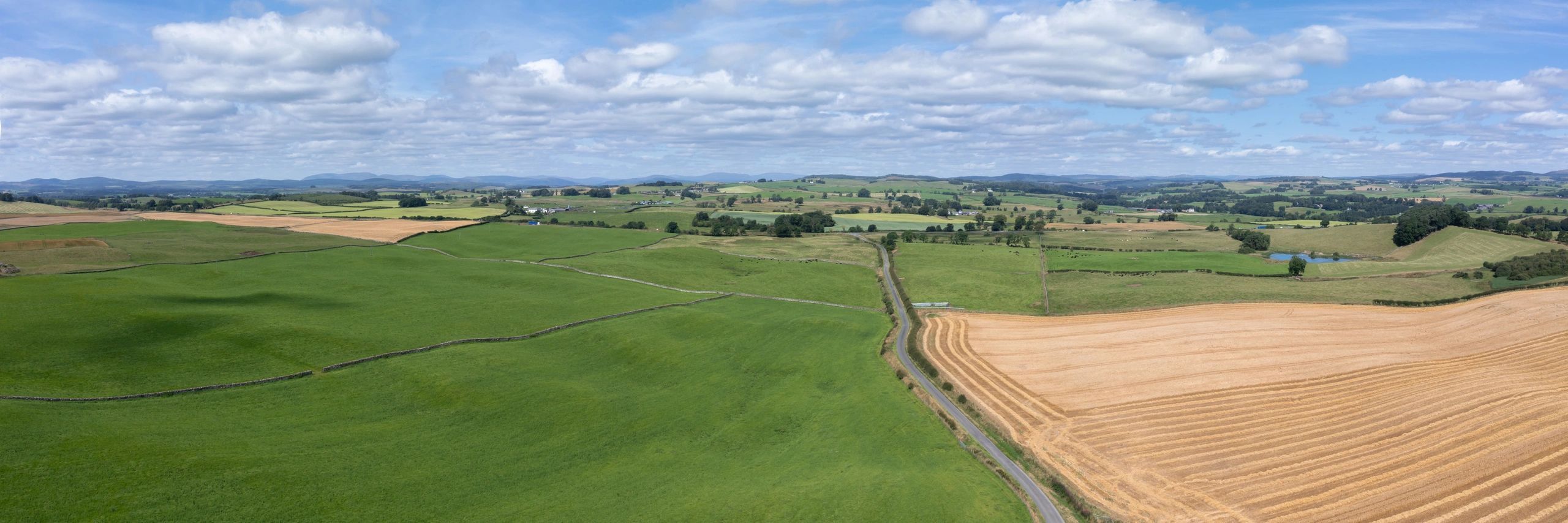 Aerial view of farmland patterns